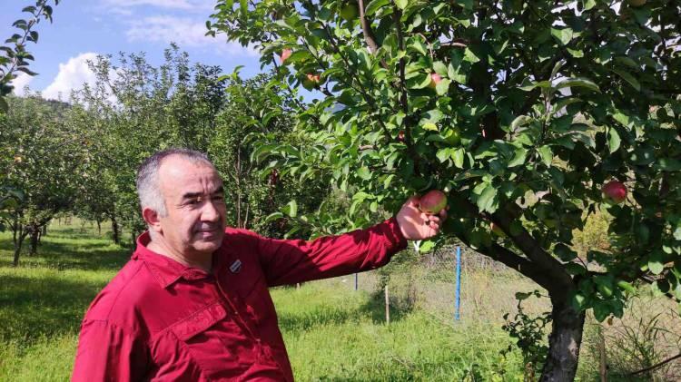 <p>Artvin’de Türkçe öğretmeni İbrahim Bülbül, arazisinin 15 bin metrekarelik bölümünü şehitlerin anısına meyve bahçesine çevirdi.</p>
