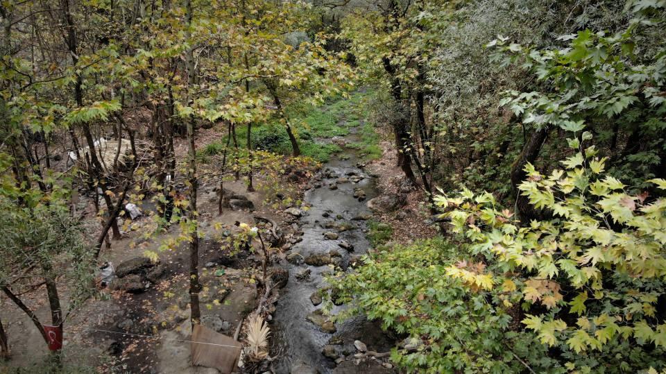 <p>Vahşi altın madenlerdekinden çok daha fazla" şeklinde konuştu.</p>
