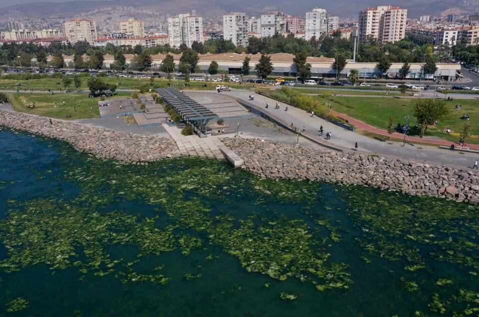 <p>Bu şartların ortadan kaldırılmasının kısa sürede mümkün olmadığını aktaran Tanrıkul, "Kirleticilerin engellenmesi, azaltılması veya durdurulması gerekir. Bunlar da çevre sağlığı, yerel yönetimlerle ilgili konular." dedi.</p>

<p> </p>
