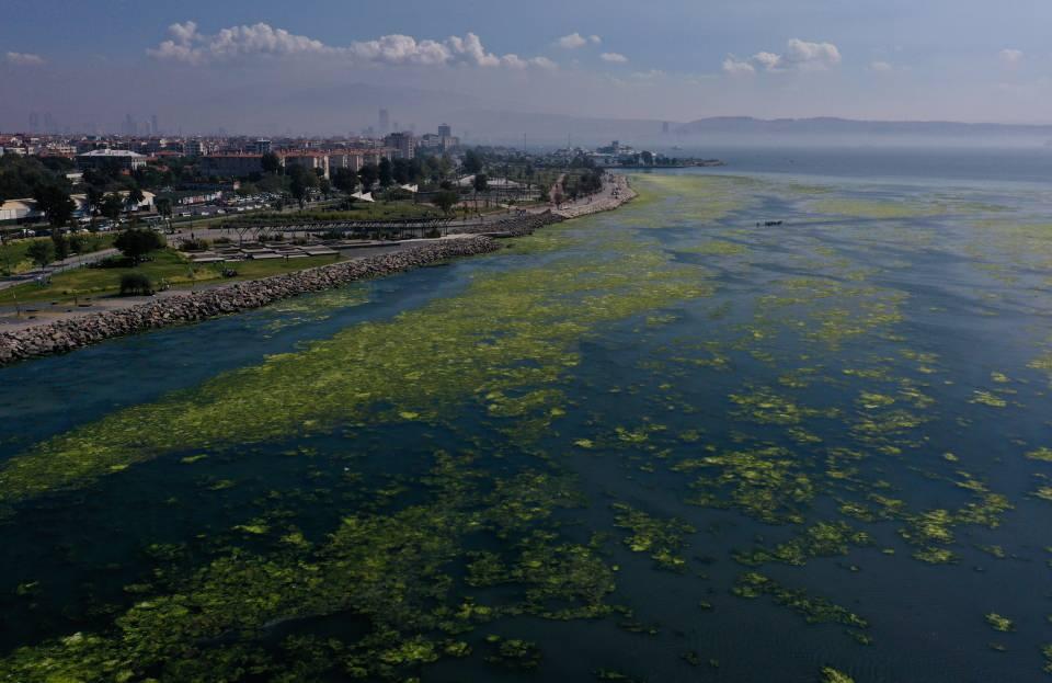 <p>Tanrıkul, deniz marullarının sudan çıkarılarak imha edilmesi gerektiğini belirterek, üremesine neden olacak şartları ortadan kaldırmanın ise daha önemli olduğunu vurguladı.</p>

<p> </p>
