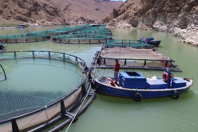 <p>Fırat Nehri, Karaleylek ve Saklıkapı kanyonları, Çırçır Şelalesi, Keban Baraj Gölü ve Yusuf Ziya Paşa Camisi gibi doğal güzellikleri ve tarihi mekanları ile ilgi gören Keban, üretilen lezzetli alabalıkları ile de adından söz ettiriyor.</p>

<p> </p>
