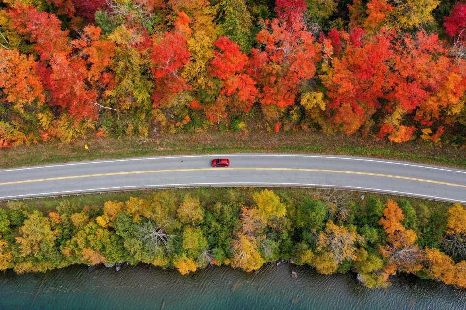 <p>ABD'nin Vermont eyaletine bağlı Newark kentinde ağaçlardaki sonbahar renkleri güzel görüntü oluşturdu.</p>

<p> </p>
