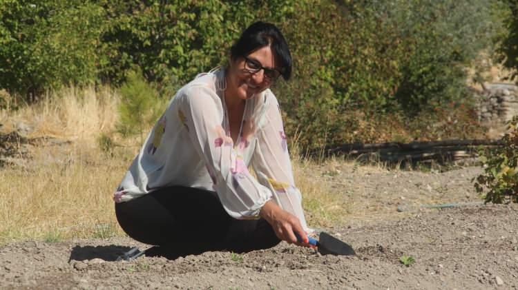 <p>Deve dikeni, karaciğer yağlanması, kolesterol düşürücü etkisi, şeker hastalığı olmak üzere birçok faydası var. Tohumlarını ve yapraklarını kullanabiliyorsunuz. Geri kalanı da hayvanlara yem olarak gidecek. Deve dikeni kuraklığa çok dayanıklı. Artık kuru tarım yapmak zorundayız. </p>