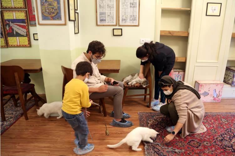 <p> Tahran'da kedi dostlarının sayısı çok fazla. Kedileri koruyanlar bu projeyi destekledi. O nedenle müze çok ilgi görüyor. Gelenler yeni fikirler veriyor ve buranın daha da gelişmesi için yardımcı oluyor. Kadınlar daha çok ilgi gösteriyor. Gençler ve çocuklar da geliyor. Daha ziyade 30 yaş altı geliyor."</p>