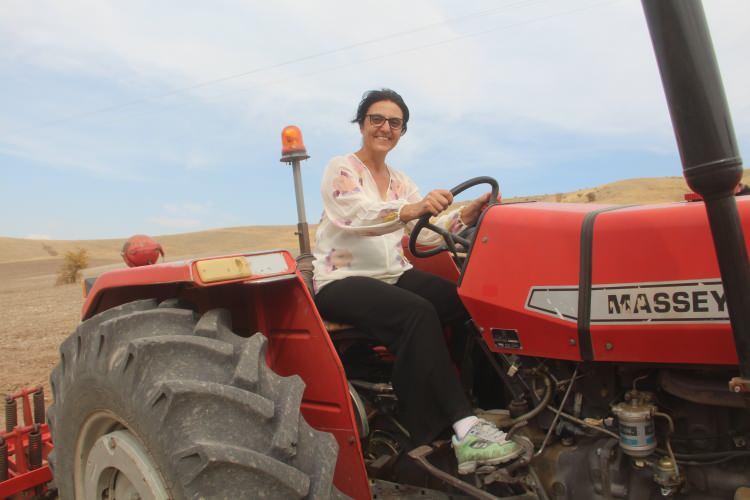 <p> Geçen yıl ilk olarak 290 dönüme aspir ekimi yapan Arslan, kuraklık nedeniyle istediği verimi alamadı. Tarım İl Müdürlüğü ile koordineli bir şekilde çalışan Arslan, 500 dönüm alana kuraklığa daha dayanıklı olan ve tıbbi olarak kullanılan deve dikeni ekimine karar verdi. </p>
