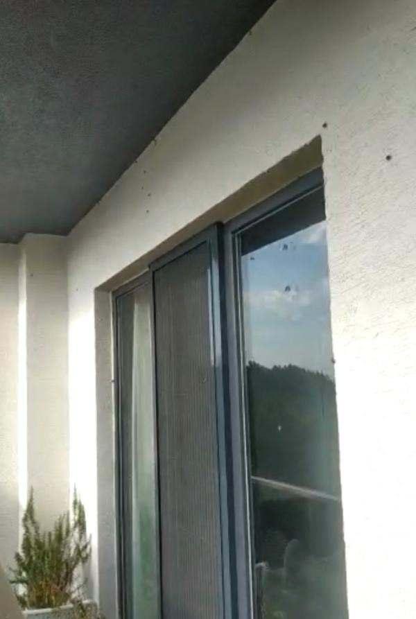 <p>'MÜCADELE İLE BU BÖCEK BİTMEZ AMA POPÜLASYONU AZALTILABİLİR''Ev içlerinde çok sayıda olması durumunda torbalı elektrik süpürgeleriyle bunların çekilerek çıkartılıp bir poşete konduktan sonra sıkıca da ağzı kapandıktan sonra çöpe atılabilir' diyen Doç. Dr. Hızal, " Üç dört şekilde mücadele ediliyor. Ama biter mi, bitmez. Popülasyon biraz azaltılabilir. Çünkü bu sadece park bahçelerde değil, ormanlık alanlarda da bulunduğu için ormanlık alanlardan park bahçelere, park bahçelerden ormanlık alana geçiş yapıyor. </p>