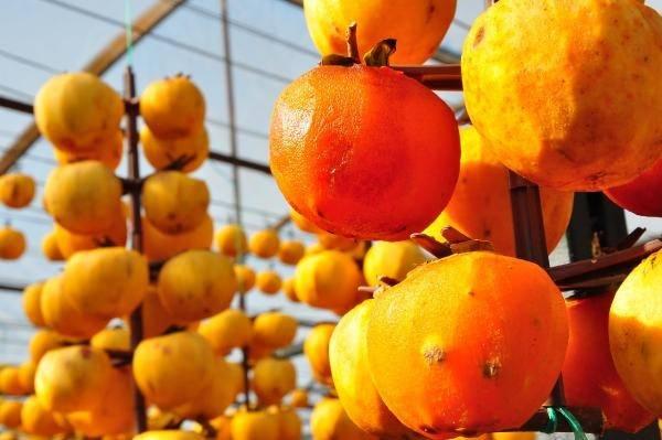 <p>Alaşehir'in kırsal Kavaklıdere Mahallesi'nde yaşayan Melek Yılmaz ve ailesinin bahçelerinde yetiştirdikleri ve taze olarak pazarlamakta zorlanılan cennet hurmaları, bozulmaya başladı.</p>
