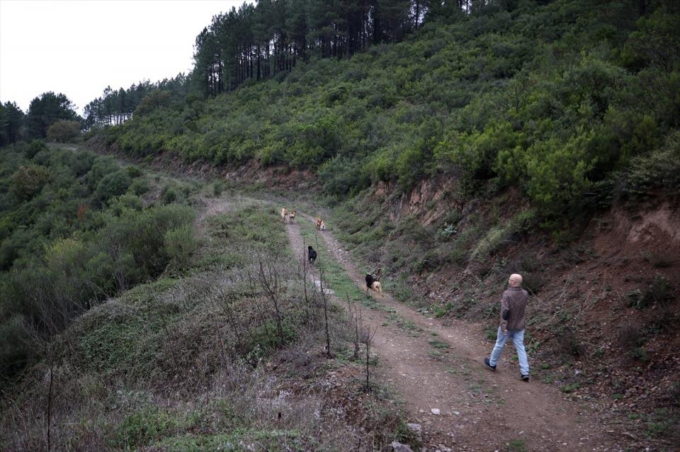 <p>Ben eve döndüğümde köpeklerim üzerime atlıyor, dünyanın en mutlu canlıları oluyorlar. O an yaşanan duygu çok güzel, tarifi çok zor. Sizi koşulsuz seven, çok sayıda canlının ellerinden gelse sarılacak şekilde karşılamaları çok heyecan verici oluyor. </p>