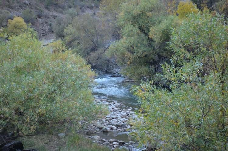 <p>Şırnak’ın Beytüşşebap ilçesinde sonbahar aylarının gelişiyle beraber ağaçlar yaprak döktü. Sararan yaprakların renk cümbüşü kartpostallık görüntü oluşturdu.</p>
