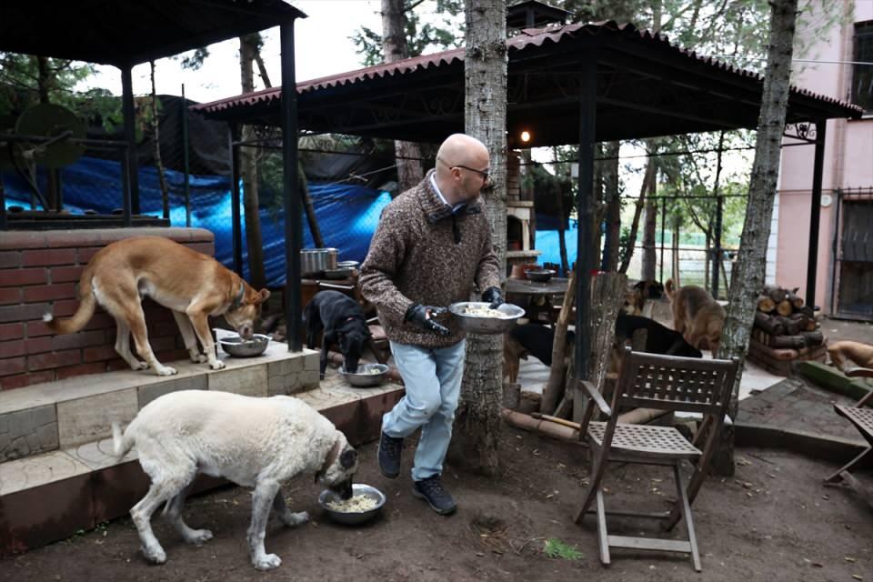 <p>Ben bu işi gönüllü olarak kısıtlı imkanlarla ve vaktim yettiği kadarıyla yapmaya çalışıyorum. Artık kapasitem doldu. Bundan daha fazla martı, kedi, köpek, at sahiplenebilecek durumda değilim. Elinizde bu şekilde yardıma muhtaç, yaralı veya engelli bir martı varsa ne yapabileceğiniz konusunda size fikir verebilirim ama lütfen tek çözüm olarak onu bana getirmeyi düşünmeyin." değerlendirmesinde bulundu.</p>
<p> </p>