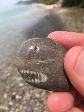 <p>Köpekbalığı şeklinde taş.</p>
