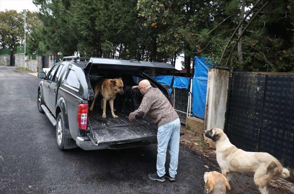 <p>Akkök, kendisiyle beraber yaşayan martıların engelli martılar olduğunu dile getirerek, "Martılarla yolumun kesişmesi yaralı bir martıyı veterinere tedavi ettirmeye götürmemle oldu. </p>