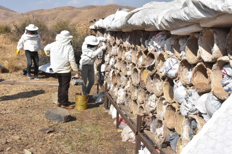 <p> Ayrıca bölgemizde dünyadaki endemik bitkiler bulunuyor. Kekik, nane ve birçok çeşit bitki var. Ürünümüz çıktıktan sonra laboratuvara gönderip prolin değerini ölçtüreceğiz. Güzel ve verimli bir hasat dönemi olur inşallah" dedi.</p>