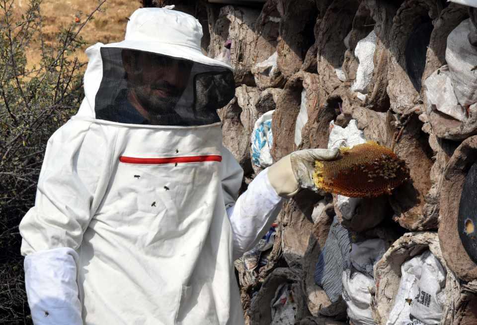 <p>Toplamda 49 bin 500 gram polen elde etmişiz. Polen piyasada 140 TL’ye alıcı bulmakta. Bunun da Bitlis ekonomisine yaklaşık 7 milyon TL girdi sağladığını söyleyebiliriz. </p>