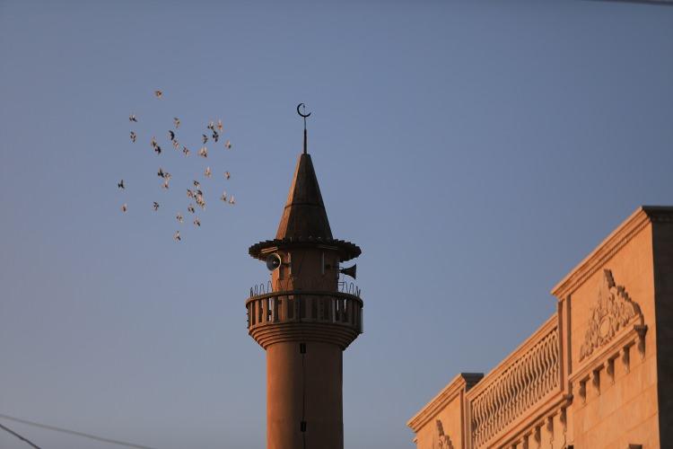 <p>Operasyon sonrası Tel Abyad'dan evlendiğini ifade eden Halit, "Bir kız çocuğum oldu. Bunların hepsi bölgenin terörden kurtuluşunun sayesinde gerçekleşti. İyi bir yaşam sürdürmekteyim." diye konuştu.</p>

<p> </p>
