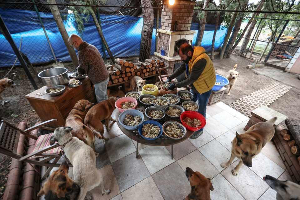 <p>Bu şekilde hazırladığımız yemekleri soğuttuktan sonra evimdeki ve yakın çevremizdeki köpeklere paylaştırıyoruz. Martılara ve kedilere verdiğimiz balıklar da toplu halde haftalık olarak alınıyor ve derin dondurucuda saklanıyor. </p>