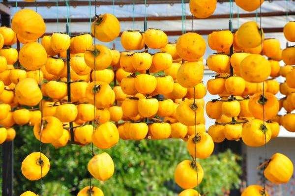 <p>Kurutulmuşunun lezzetli olduğunu görünce devamını getirdik sonra 1 ton, 10 ton derken bu şekilde talep arttıkça devam ettik. </p>
