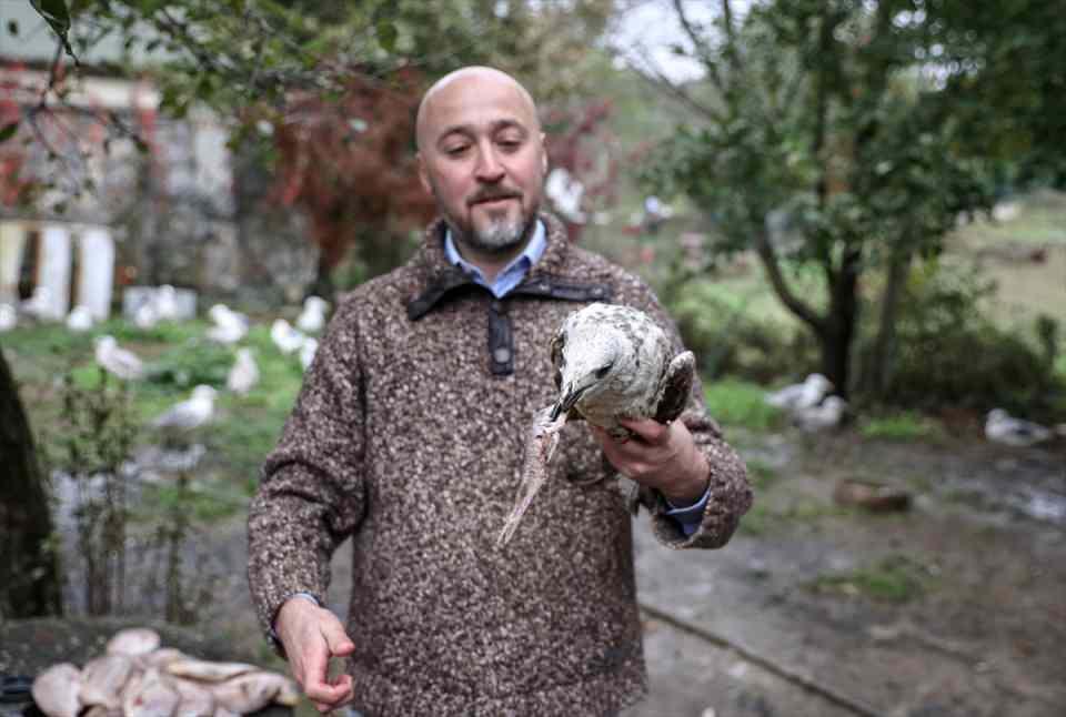 <p>Bu kadar uzun süre bozulmadan saklanabildiklerine göre kim bilir içlerinde ne kadar çok kimyasal koruyucu vardır? Ben kendi köpeklerimi ve evimin etrafındaki sahipsiz köpekleri onlar için özel olarak hazırlattığım pişmiş yemekle besliyorum. </p>