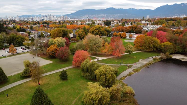 <p>Kanada'nın Vancouver şehrinde bulunan Trout Gölü'nde sonbahar güzellikleri yaşanıyor.</p>
