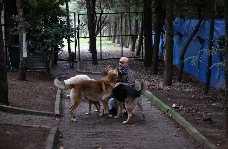 <p>Veteriner martının tedavisinin mümkün olmadığını, uçamayacağını ve tek kanatla yaşaması gerektiğini söyledi. Benim de içimden onu ölüme terk etmek geçmedi. Martıyı alıp evimin bahçesinde bir yer yaptım. Sonra videolarını sosyal medyada paylaşmaya başladım. </p>