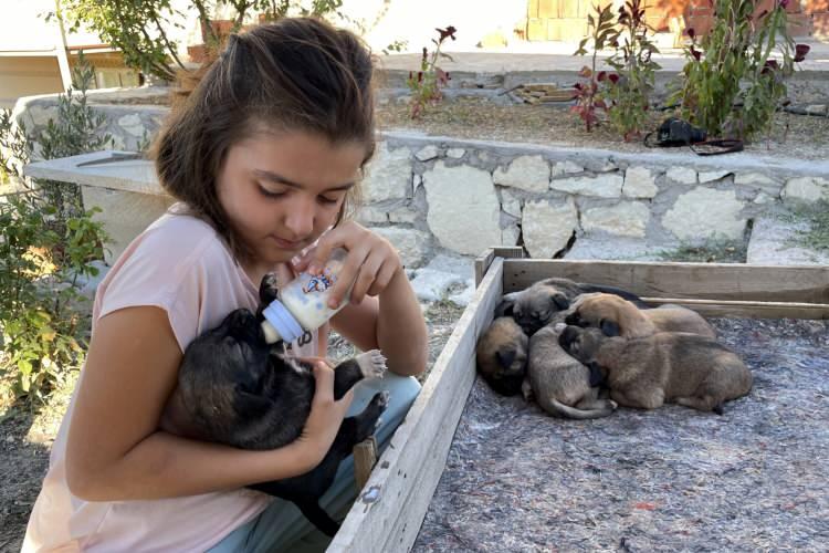 <p>Köpeklere, gündüz evlerinin bahçesinde tahtadan yaptıkları alanda, gece de babasının atölyesinde barınma imkanı sunan Sude, hayvanseverliği ve duyarlılığı ile takdir görüyor.</p>