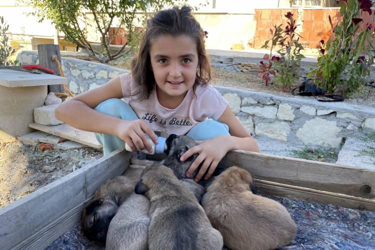 <p>"Okuldan eve gelince onlara bakıyorum"</p>
<p>Sude Gündüz, AA muhabirine, fındık ve yavrularını çok sevdiğini, onlarla ilgilenmeye başladıktan sonra kendisini daha mutlu hissettiğini söyledi.</p>