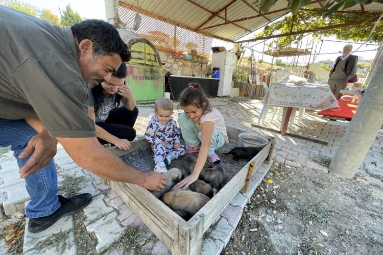 <p>"Kızımızı hayvan sevgisinden dolayı kutluyoruz"</p>
<p>Anne Sevgi Gündüz de Sude ve 3 yaşındaki oğlu için Fındık ve yavrularının neşe kaynağı olduğunu, onlarla vakit geçirmekten büyük keyif aldıklarını belirtti.</p>