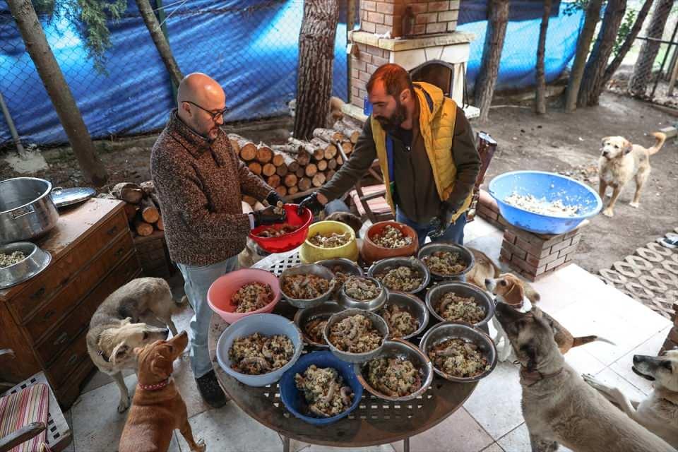 <p>Bir süre iyi bakılır ve beslenirse güç kazanıp uçabileceğini düşünüyordu. Ben de onu bir süre misafir edip yardım etmek istedim. Martılarımla geçinebilirse bahçemde bir süre yaşayabileceğini düşünerek onu yanıma aldım. Arabamda evime getirirken kucağımdayken bana güvendiğini hissettim. O kısa yolculukla onunla aramızda bir dostluk bağı oluştu, bana güvendi. Beni sevdiğini hissettim, ben de onu çok sevdim. İsmini 'Kutsi' koydum. Kutsi ailemize katıldı. Martılarla beraber günlük balıkla beslendi. O kendi doğası gereği bahçedeki solucanları böcekleri, salyangozları da yedi. Yeterince beslendikten sonra benim yurt dışımda olduğu bir gün uçtu gitti. Gitmeyecek diye çok korkuyordum. </p>