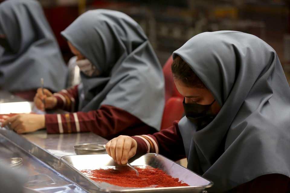 <p>Ülkede bulunan en büyük safran fabrikalarından biri olan Meşhed'deki Nuvin Safran işletmesinin sahibi Ali Şeriati Mukaddem, AA muhabirine yaptığı açıklamada, safran hasadındaki düşüşün fiyatlara da yansıdığını söyledi.</p>

<p> </p>
