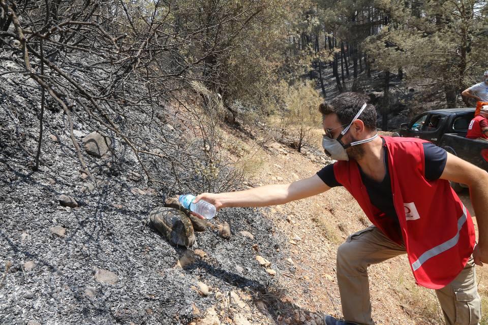 <p>Türk Kızılay gönüllüleri, 2021 Ağustos ayında Muğla'nın Menteşe ilçesinde devam eden orman yangınlarında söndürme çalışmalarına da katılmıştı. (Arşiv)</p>