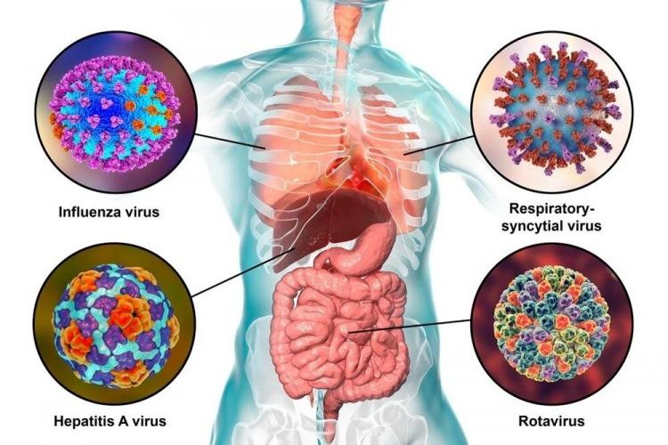 <p><strong>SÜPER GRİP NEDİR VE NORMAL SOĞUK ALGINLIĞINDAN FARKI NEDİR?</strong></p>
<p>Soğuk algınlığına virüsün 200'den fazla farklı türü neden oluyor. Cardiff Üniversitesi Soğuk Algınlığı Merkezi’nin eski direktörü Prof. Dr. Ronald Eccles, şu anda dolaşan “süper grip”in solunum sinsityal virüsünün (RSV) bir sonucu olduğunu söyledi. </p>