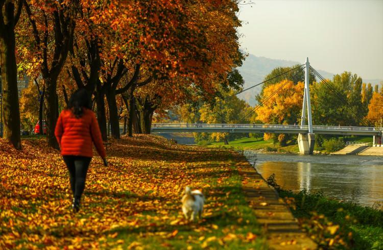 <p>Bosna Hersek'in Zenica kentindeki yürüyüş yolu sonbaharın gelişiyle görsel bir şölen oluşturdu. Sonbaharın en güzel renklerinin oluşturduğu ahenk görenleri kendine hayran bıraktı.</p>
