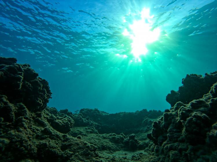 <p>Sahip olduğu 321 kilometrelik sahil şeridi ve eşsiz doğa özellikleriyle "Doğu Akdeniz'in incisi" olarak nitelendirilen Mersin'de, mavi suların derinliklerine inen dalgıçlar su altı kanyonlarının güzelliklerini keşfediyor.</p>
