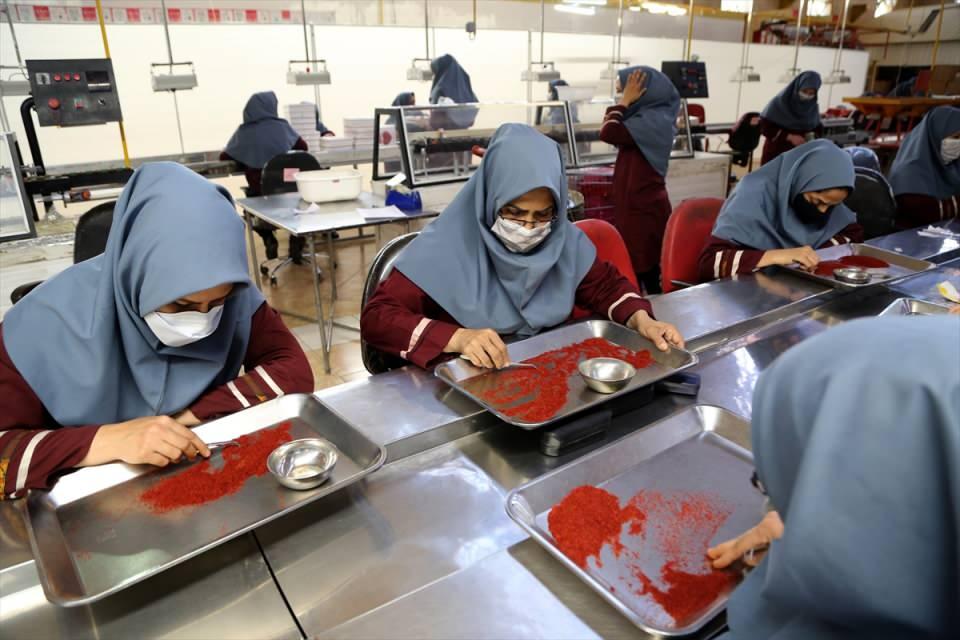<p>O nedenle ilginin daha da arttığını söylemek mümkün. Safranın günde 50 ila 100 miligram kullanılması tavsiye ediliyor. Safran; parkinson, alzheimer ve yaşlılığa bağlı diğer hastalıklara çok iyi geliyor."</p>
<p> </p>