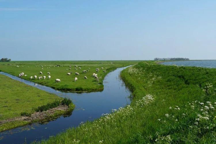 <p>Deniz seviyesine çok yakın olan Hollanda, nehirleri ve Kuzey Denizi kıyıları boyunca binlerce kilometrelik setlerle korunurken, ülkedeki oluşturulan delta fonu ile iyileştirme ve bakım için her yıl yüz milyonlarca euro yatırım yapılıyor.</p>
<p> </p>