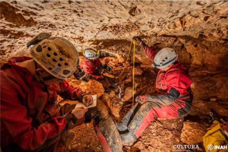 <p>Uzunluğu 160 cm, eni 80 cm ve yüksekliği 40 cm olan kanonun su taşımak için ya da Maya geleneklerine göre ölenlerin değerli eşyalarının konuşması amacıyla kullanıldığı düşünülüyor.</p>