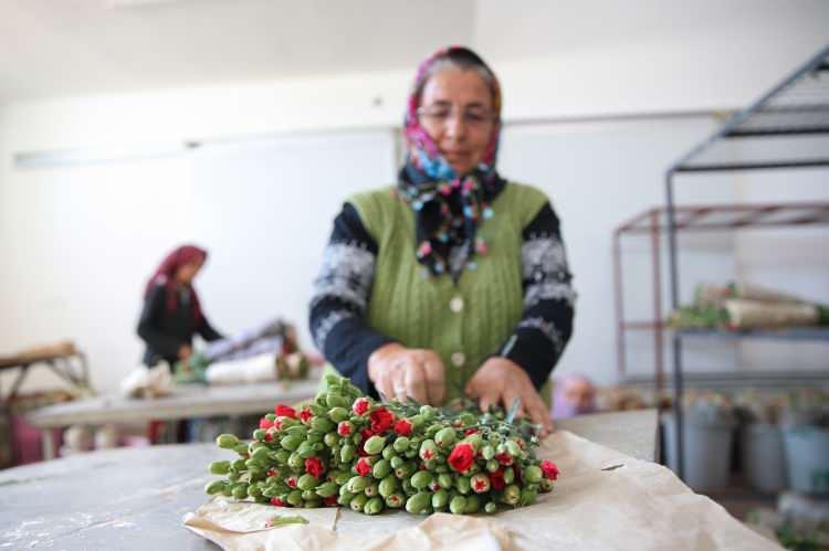 <p>Ayrıca uçuşların kapanmasıyla çiçek ithal eden ülkelerin Türkiye pazarına yöneldiğini vurgulayan Yılmaz, uçuşların normale dönmesine rağmen Türkiye'nin bilinirliğinin artmasıyla satışların devam ettiğini söyledi.</p>