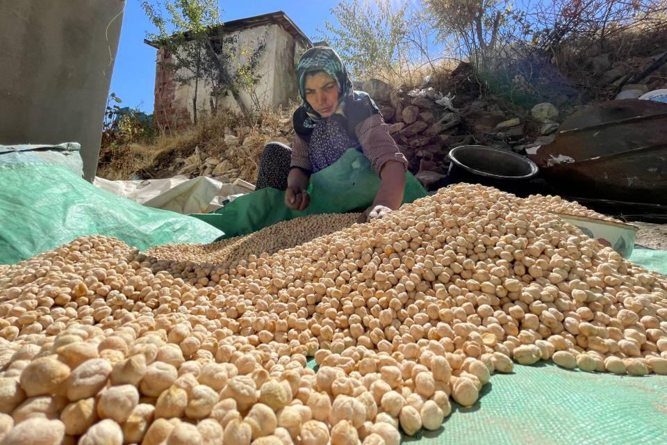 <p>Elazığ Sanayi ve Ticaret Odası işbirliğiyle de nohut üretimi yapan köylerle ortak tarımsal kalkınma kooperatifi kurulduğuna işaret eden Karahan, üretimde kullanılan makine ve ekipmanlar başta olmak üzere bu alanı destekleyici her türlü projeyi bu kooperatif üzerinden hayata geçireceklerini aktardı.</p>

<p> </p>
