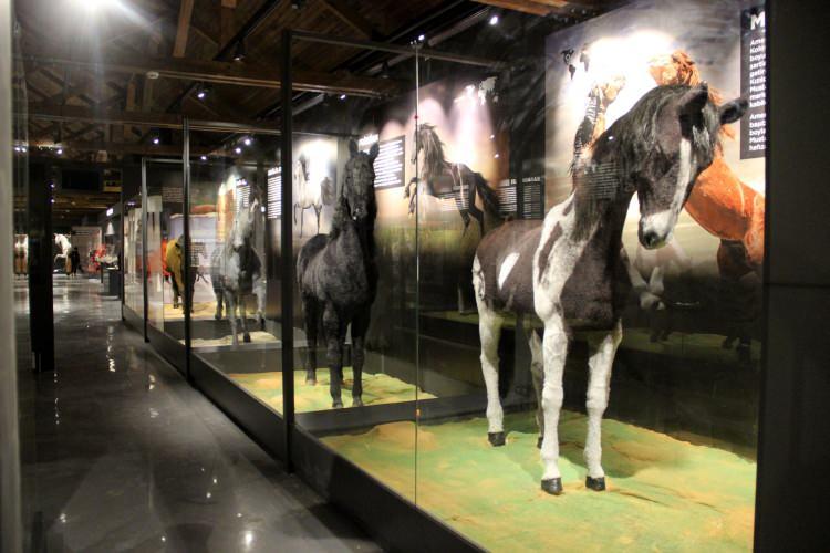 <p> Dünyada bir benzeri bulunmayan ‘Savaş Atları Müzesi’ Sivas’ta açılış için gün sayıyor.</p>
