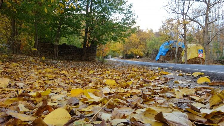 <p>Tuğlu köyünde bir tarafı sarıya boyanan yapraklar, diğer yandan yeşilliğin içinde kalan evler ve derenin verdiği güzellik kartpostallık görüntüler oluşturuyor.</p>
