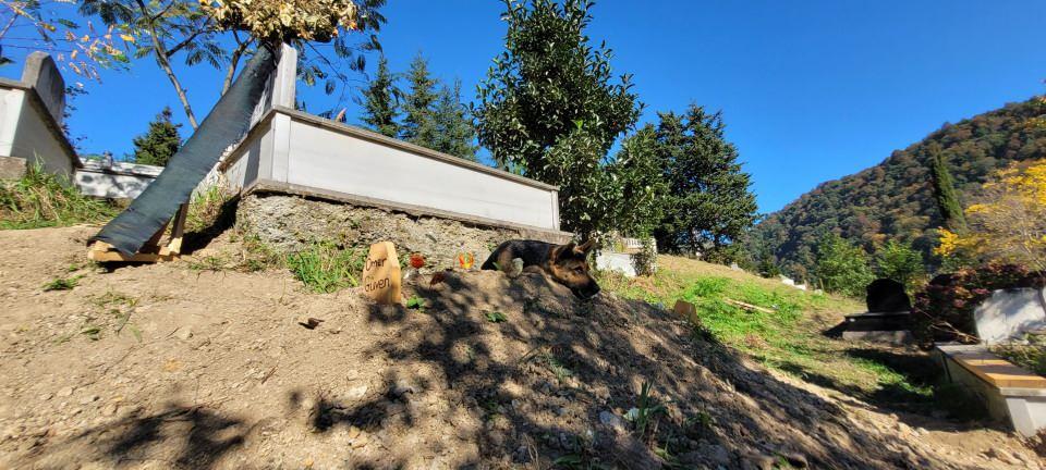 <p>Her gören, bu vefa örneğine tanık oluyor. Ömer amcamızın da hayvan sevgisi çok farklıydı. Önce köpekleri yedirir sonra kendi yemek yerdi. Maaşının çoğunu köpeklere harcardı. Çok güzel bir sevgi bu" diye konuştu.</p>
