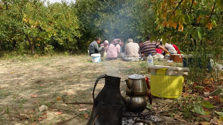 <p><strong>Sektör haline geldi ve herkes hurma kurutuyor. Siparişler yetişmediği için alım yapıyoruz"</strong> diye konuştu.</p>

<p> </p>
