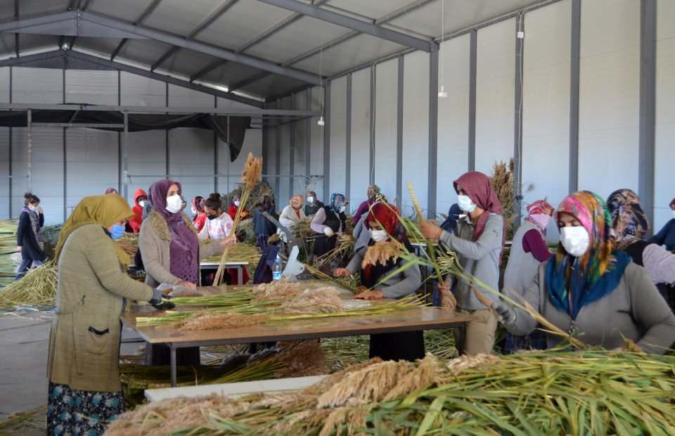<p>Bu boyanan bitkilerimiz 8-10 çeşide kadar çıkmaktadır. Köyümüzden çıkan bu bitkiler 5-6 ülkeye ihraç edilmektedir. Mart ayından bu yana ihracatımız devam etmektedir. 8-10 TIR yurt dışına bitki ihraç ettik. Çalışan tüm kadınlar benim öğrencilerimin velisidir. Genç kızlarımız ise öğrencim.''</p>
