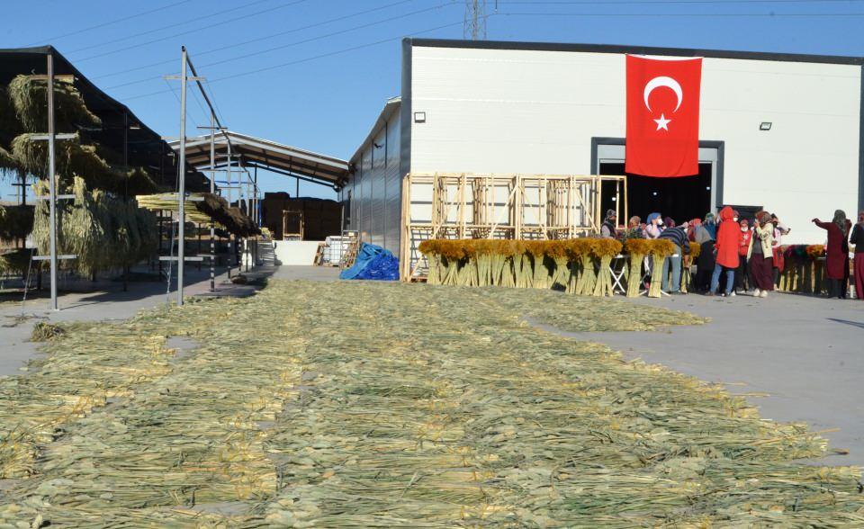 <p>Buradan elde ettiğimiz gelirle ev ekonomisine katkı sağlıyoruz. Gelinler buradan elde ettiği gelirle, çeyiz paralarını biriktiriyor. Aileleri olanlarsa çocuklarını okutuyor, kızlarımız da kendileri için birikim yapıyor'' dedi.</p>