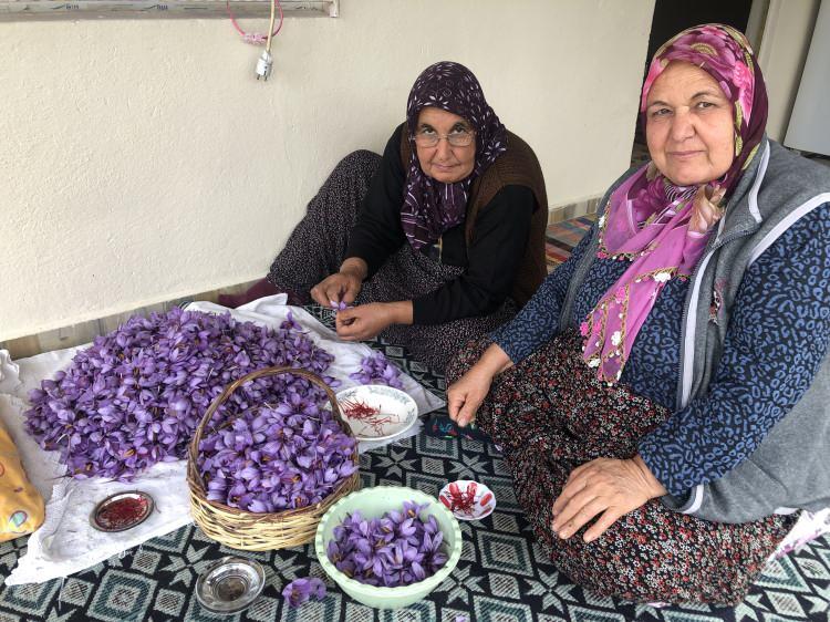 <p>Türkiye geneli tüm üretimde 5 kilo safranın çok zor şekilde çıkarıldığını, İtalya ve Avrupa’nın gözdesi olan ürünün yurt dışında ilaç sanayinde kullanıldığını anlatan Ali Gök, safranın çayının yapıldığını, yemeklere kullanıldığını ve aktarda tıbbı bitki olarak satıldığını kaydetti.</p>
