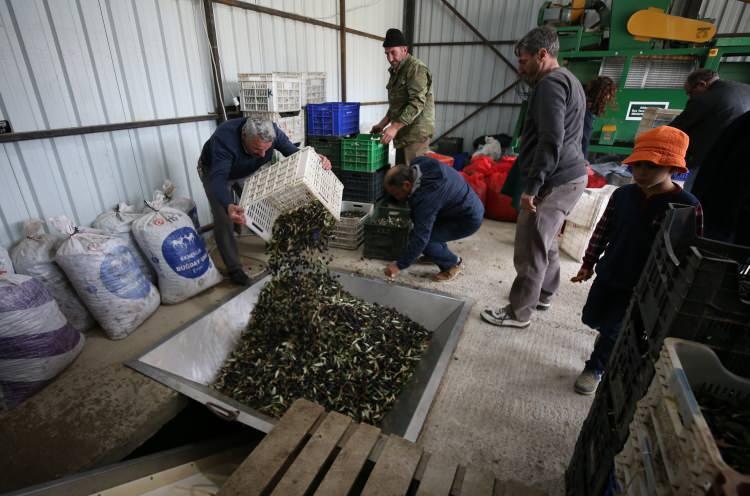 <p>"Zeytin toplarken de beraberiz" Şahinkaya sakinlerinden Nurhan Atalay da çocuk yaşta geldikleri adada uzun süredir yaşam sürdürdüklerini anlattı. Eski gelenekleri devam ettirmenin mutluluğunu yaşadıklarını kaydeden Atalay, "Burada eski örf ve adetler devam ediyor. </p>