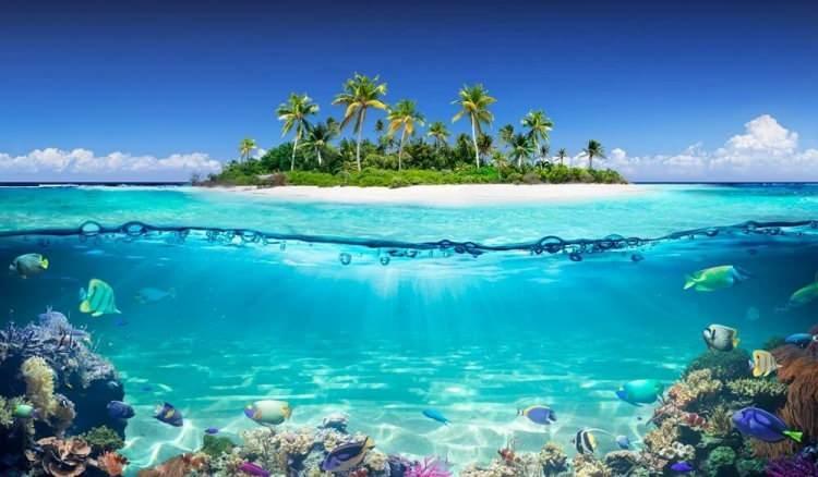 <p>Dhiffushi adasında yaşayan İbrahim Mübbasir ve ailesi ise verdikleri demeçte, şiddetli erozyondan muzdarip olduklarını ve selin yılda iki veya üç defadan ayda iki defaya çıktığını söyledi.</p>
<p> </p>