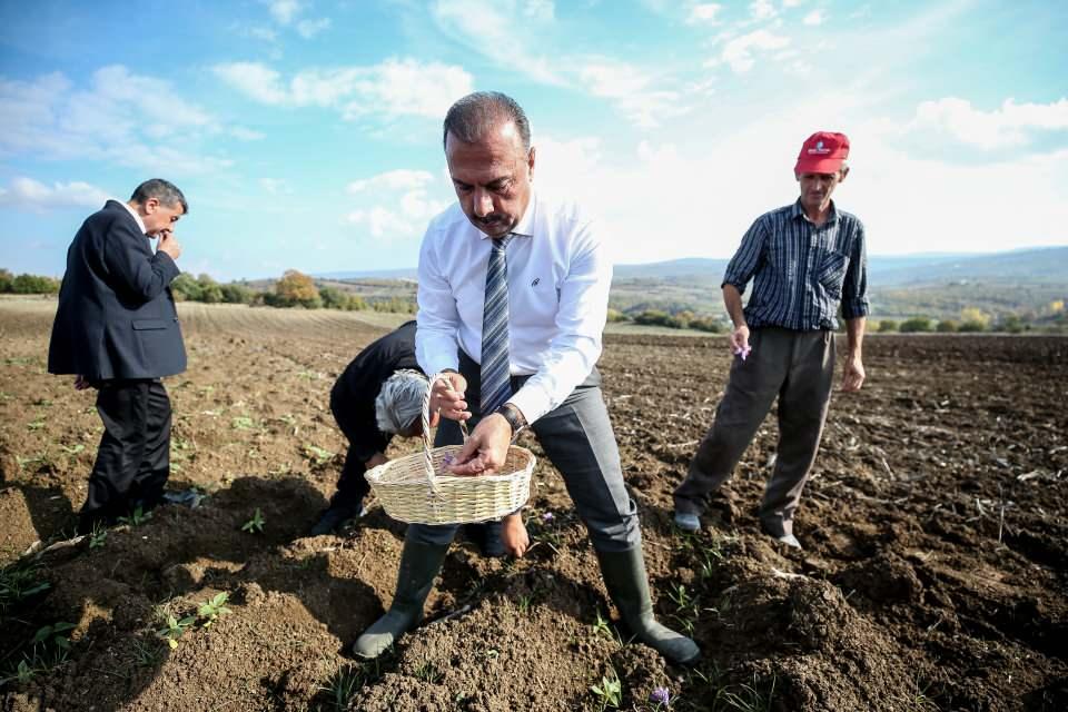 <p>İl Tarım ve Orman Müdürü Hamit Aygül, AA muhabirine, safranın son derece önemli bir ürün olduğunu ancak Türkiye'de çok fazla yetiştirilmediğini söyledi.</p>

<p> </p>
