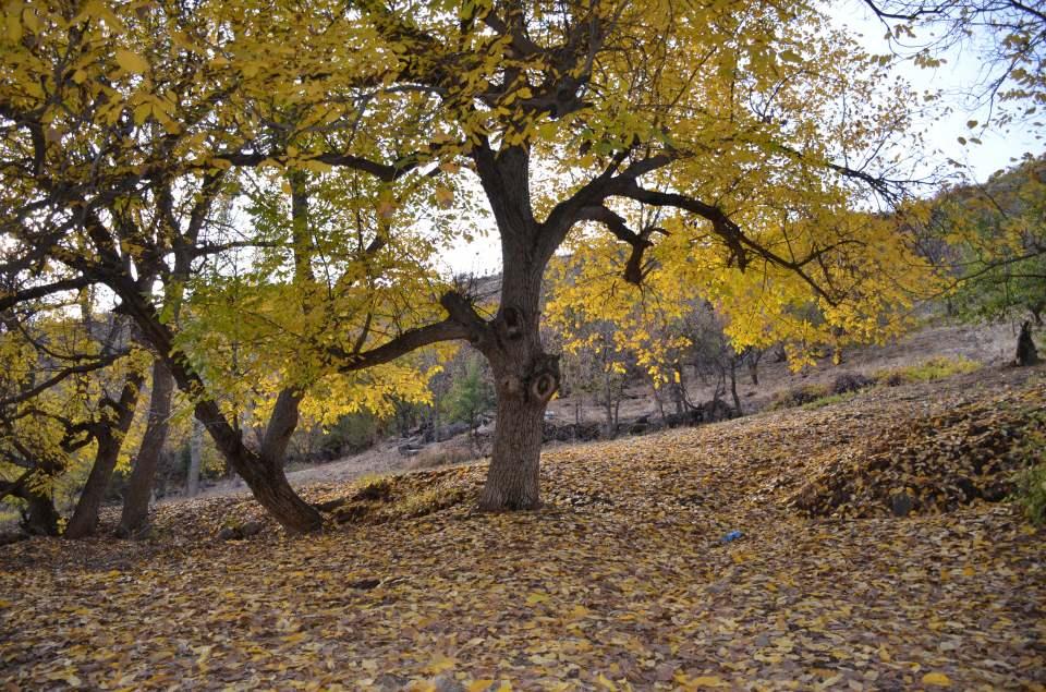<p>Kilometrelerce uzunluktaki dev Kato Dağı ilk defa fotoğraf karelerinde yer buldu.</p>