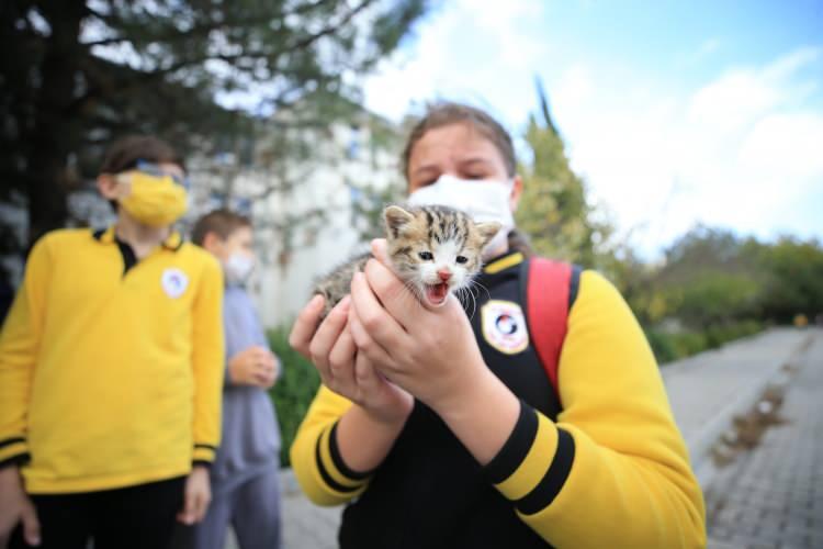 <p>Biz bu kaybettiğimiz etik değerlerimizi belki de çocuklarımıza tekrar kazandırmak istedik."</p>